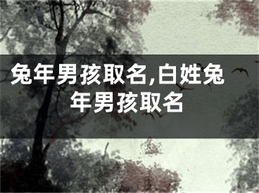 兔年男孩取名,白姓兔年男孩取名