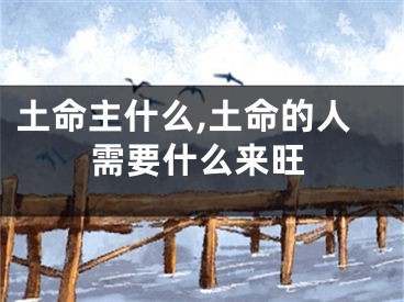 土命主什么,土命的人需要什么来旺