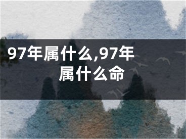 97年属什么,97年属什么命