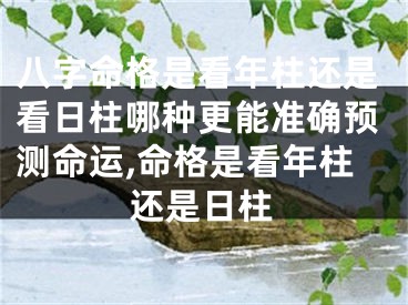 八字命格是看年柱还是看日柱哪种更能准确预测命运,命格是看年柱还是日柱