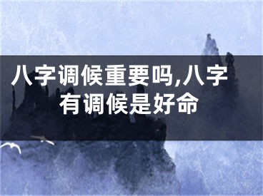 八字调候重要吗,八字有调候是好命