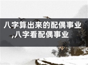 八字算出来的配偶事业,八字看配偶事业