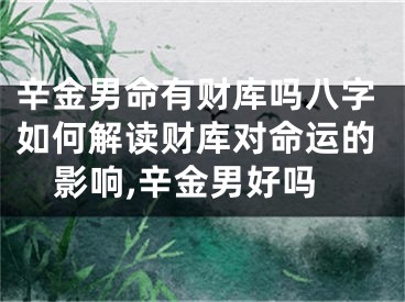 辛金男命有财库吗八字如何解读财库对命运的影响,辛金男好吗