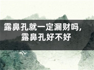 露鼻孔就一定漏财吗,露鼻孔好不好