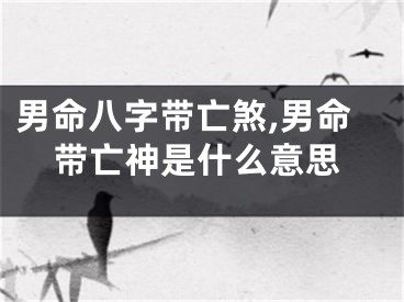 男命八字带亡煞,男命带亡神是什么意思