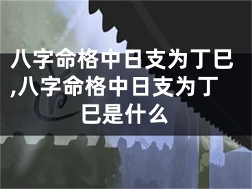 八字命格中日支为丁巳,八字命格中日支为丁巳是什么