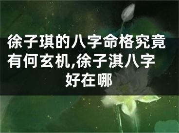 徐子琪的八字命格究竟有何玄机,徐子淇八字好在哪