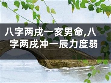 八字两戌一亥男命,八字两戌冲一辰力度弱