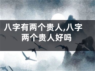 八字有两个贵人,八字两个贵人好吗