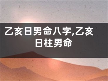 乙亥日男命八字,乙亥日柱男命