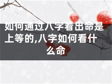 如何通过八字看出命是上等的,八字如何看什么命