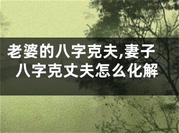 老婆的八字克夫,妻子八字克丈夫怎么化解