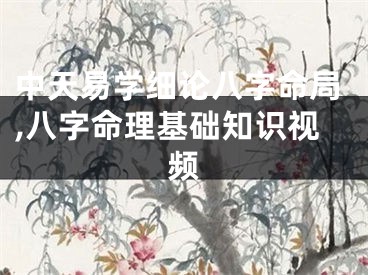 中天易学细论八字命局,八字命理基础知识视频