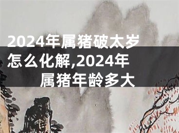 2024年属猪破太岁怎么化解,2024年属猪年龄多大