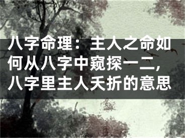 八字命理：主人之命如何从八字中窥探一二,八字里主人夭折的意思