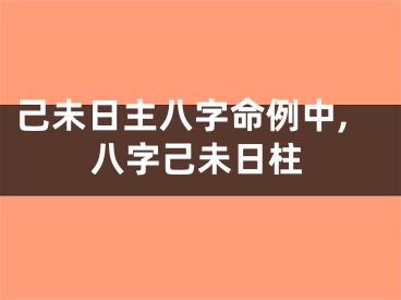 己未日主八字命例中,八字己未日柱