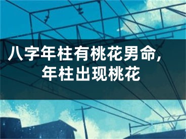 八字年柱有桃花男命,年柱出现桃花
