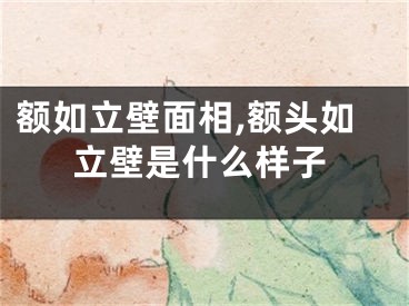额如立壁面相,额头如立壁是什么样子