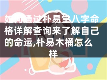 如何通过朴易堂八字命格详解查询来了解自己的命运,朴易木桶怎么样