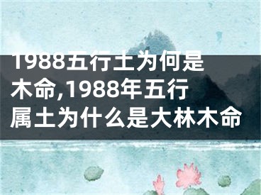 1988五行土为何是木命,1988年五行属土为什么是大林木命