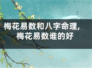 梅花易数和八字命理,梅花易数谁的好