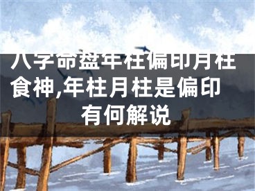 八字命盘年柱偏印月柱食神,年柱月柱是偏印有何解说