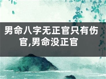 男命八字无正官只有伤官,男命没正官