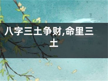 八字三土争财,命里三土
