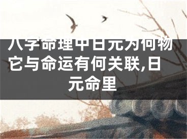 八字命理中日元为何物它与命运有何关联,日元命里