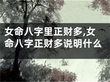女命八字里正财多,女命八字正财多说明什么