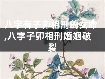 八字有子卯相刑的女命,八字子卯相刑婚姻破裂
