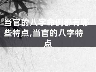 当官的八字命例都有哪些特点,当官的八字特点