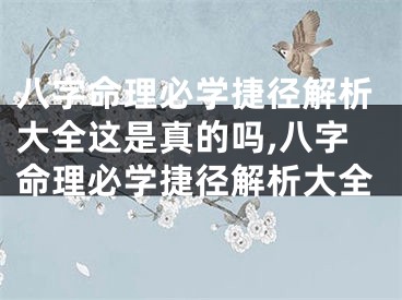八字命理必学捷径解析大全这是真的吗,八字命理必学捷径解析大全
