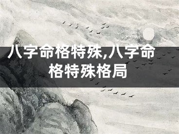 八字命格特殊,八字命格特殊格局
