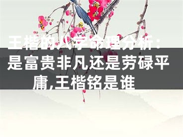 王楷的八字命理分析：是富贵非凡还是劳碌平庸,王楷铭是谁