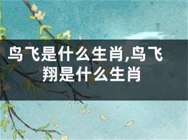 鸟飞是什么生肖,鸟飞翔是什么生肖
