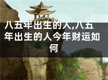 八五年出生的人,八五年出生的人今年财运如何