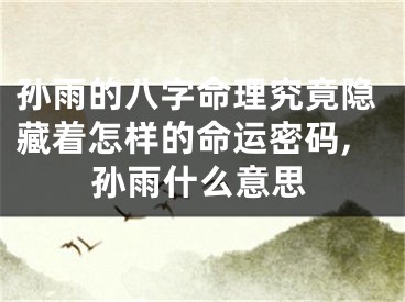 孙雨的八字命理究竟隐藏着怎样的命运密码,孙雨什么意思