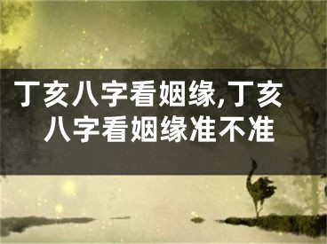丁亥八字看姻缘,丁亥八字看姻缘准不准
