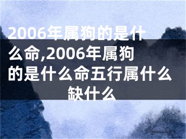 2006年属狗的是什么命,2006年属狗的是什么命五行属什么缺什么