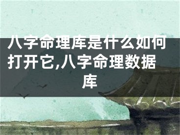 八字命理库是什么如何打开它,八字命理数据库