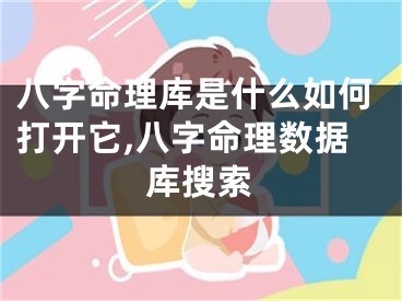 八字命理库是什么如何打开它,八字命理数据库搜索