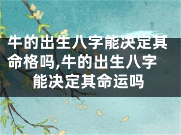 牛的出生八字能决定其命格吗,牛的出生八字能决定其命运吗