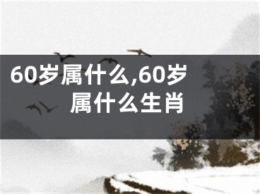 60岁属什么,60岁属什么生肖