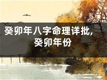 癸卯年八字命理详批,癸卯年份