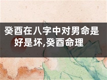 癸酉在八字中对男命是好是坏,癸酉命理