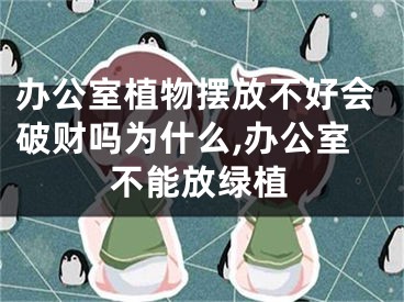 办公室植物摆放不好会破财吗为什么,办公室不能放绿植
