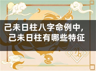 己未日柱八字命例中,己未日柱有哪些特征