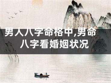 男人八字命格中,男命八字看婚姻状况