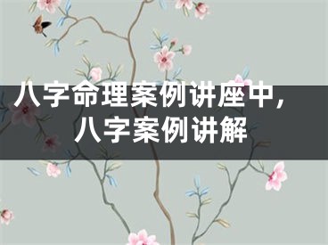 八字命理案例讲座中,八字案例讲解